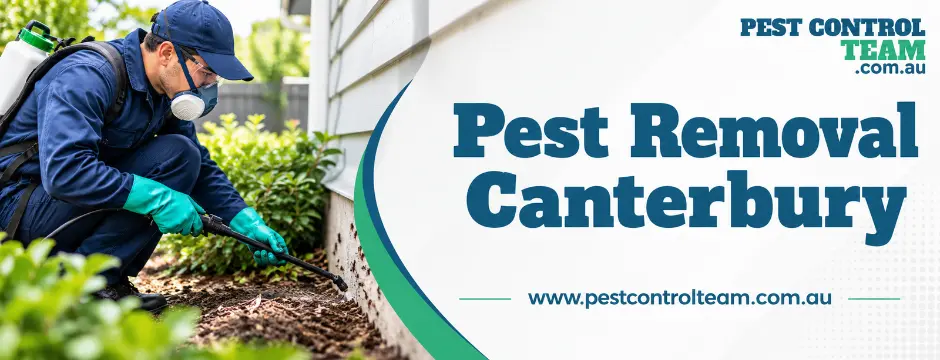 Pest Removal Canterbury by Pest Control Team